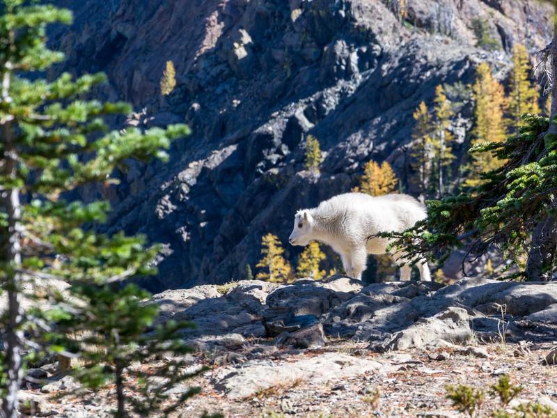 批量异常处理<br>账号被封/限制批量恢复流程